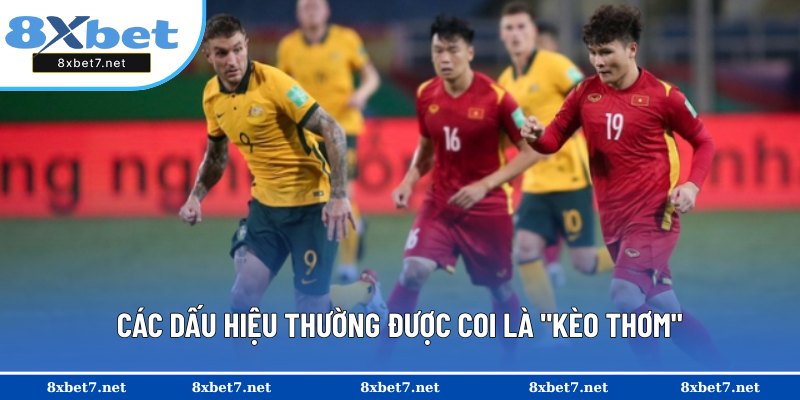 Biện pháp nhận diện được kèo thơm
