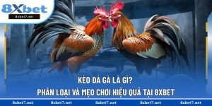 Kèo đá gà